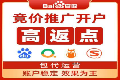 百度竞价与搜索引擎优化（SEO）的协同效应案例